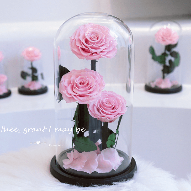 Preserved Natural Rose In Glass -  Pink-3-Roses