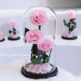 Preserved Natural Rose In Glass -  Pink-3-Roses