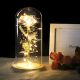 LED Rose In Glass Dome -  On table