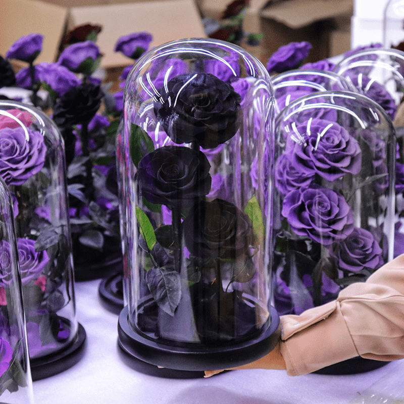 Preserved Natural Rose In Glass -  Black-3-Roses