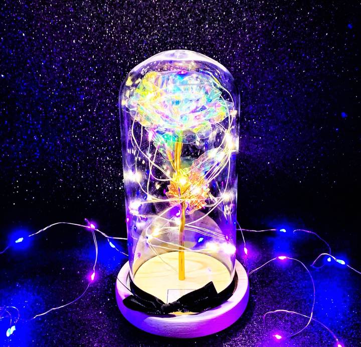 Galaxy rose, Enchanted Rose - Madeofrose