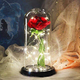 LED Rose In Glass Dome -  front view