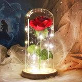 LED Rose In Glass Dome -  bright red