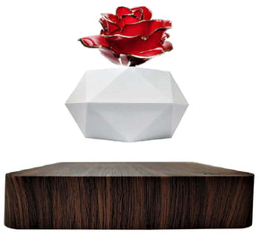 Levitating Rose Holder Six