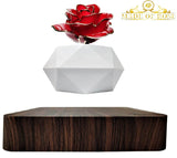 Levitating Rose Holder Four
