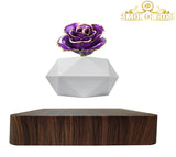 Levitating Rose Holder Five