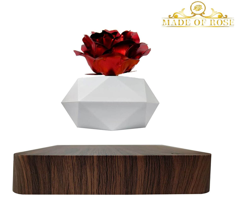 Levitating Rose Holder Six