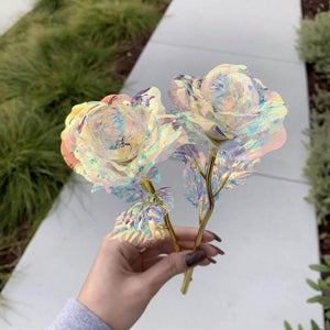 Two galaxy roses held by a hand