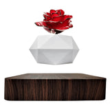 Levitating Rose Holder One