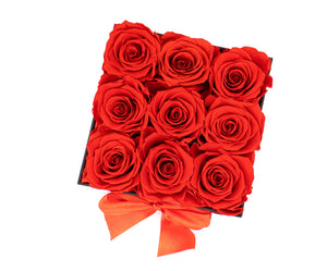 top view of Preserved Red Rose Box 9