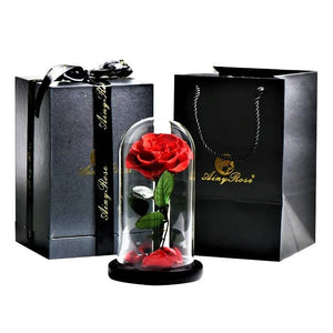 Preserved Rose In Glass Dome + Gift Box -  Red