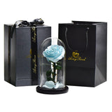 Natural Rose In Glass Dome + Gift Box -  Light-Blue