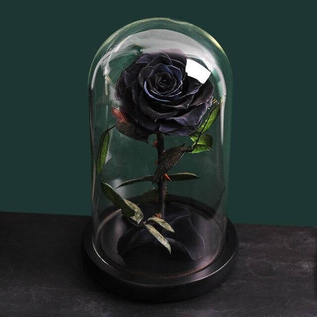 Preserved Natural Rose In Glass -  Black