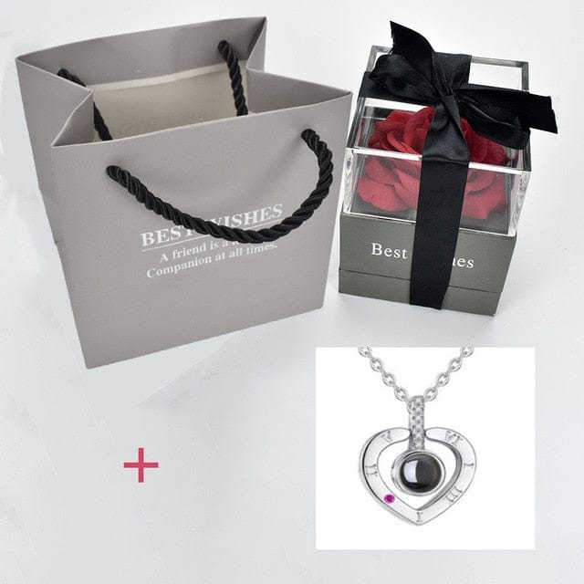 Rose Jewelry Box With Necklace -   silver